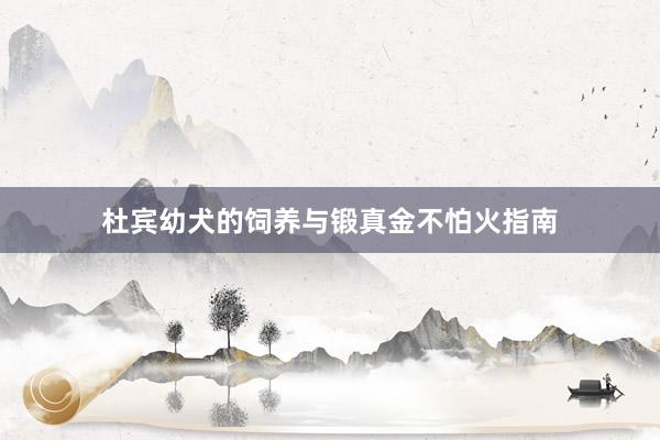 杜宾幼犬的饲养与锻真金不怕火指南